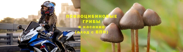 стафф Заволжье
