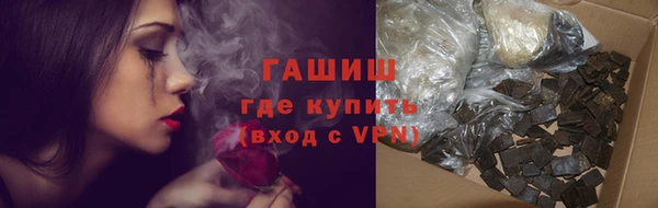 шишки Сатка