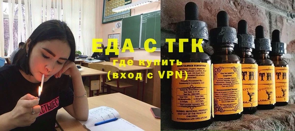 шишки Сатка