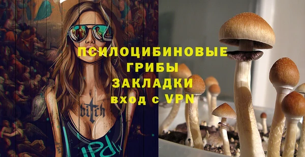 шишки Сатка