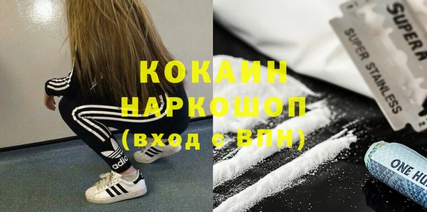 индика Кизел