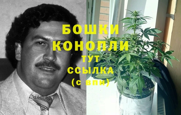 шишки Сатка