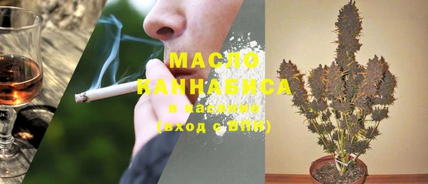 шишки Сатка